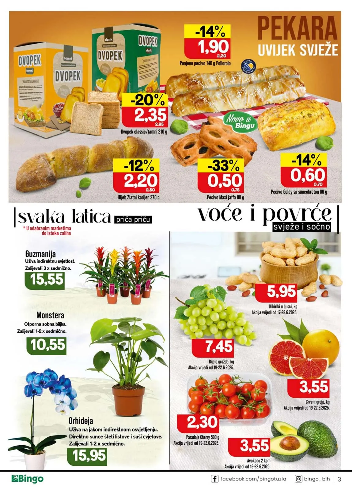 Katalog Bingo
